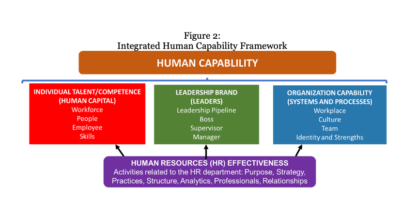 Integrated Human Capability Framework